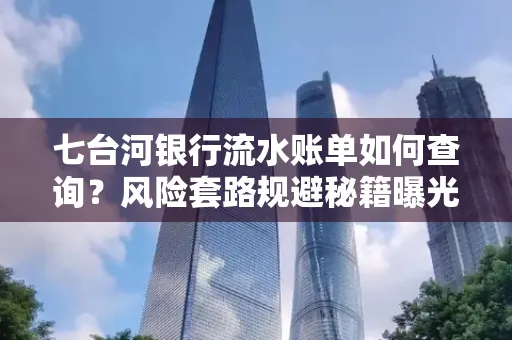 七台河银行流水账单如何查询?风险套路规避秘籍曝光?