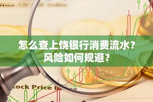 怎么查上饶银行消费流水?风险如何规避?