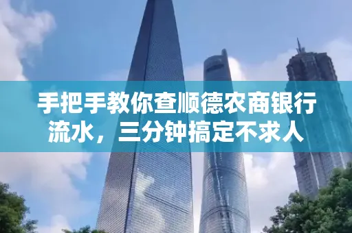 手把手教你查顺德农商银行流水,三分钟搞定不求人