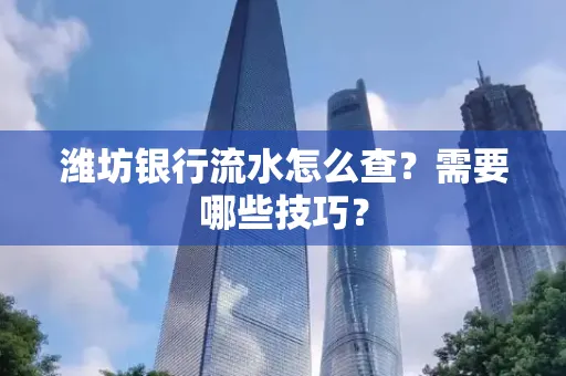 潍坊银行流水怎么查?需要哪些技巧?