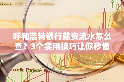 呼和浩特银行薪资流水怎么查?3个实用技巧让你秒懂