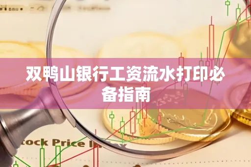 双鸭山银行工资流水打印必备指南