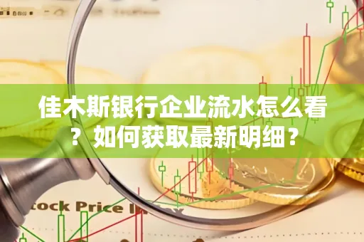 佳木斯银行企业流水怎么看?如何获取最新明细?