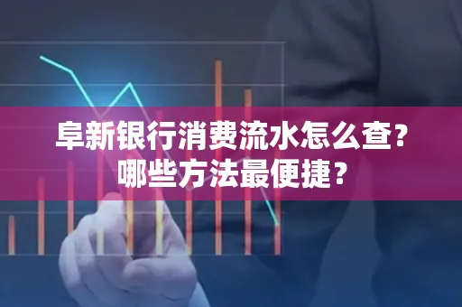 阜新银行消费流水怎么查?哪些方法最便捷?