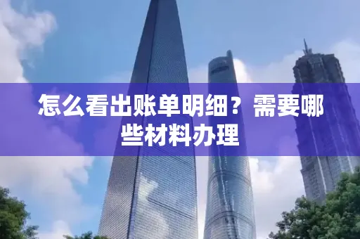 怎么看出账单明细?需要哪些材料办理