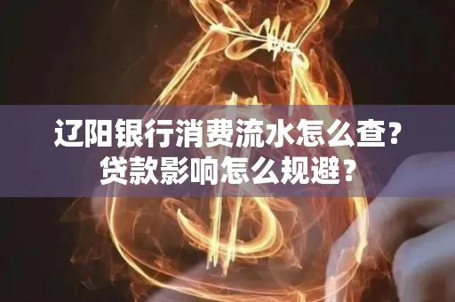 辽阳银行消费流水怎么查?贷款影响怎么规避?