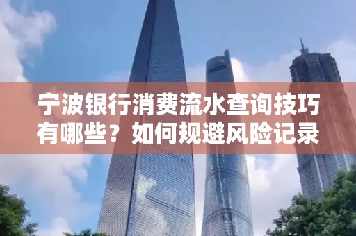 宁波银行消费流水查询技巧有哪些?如何规避风险记录?